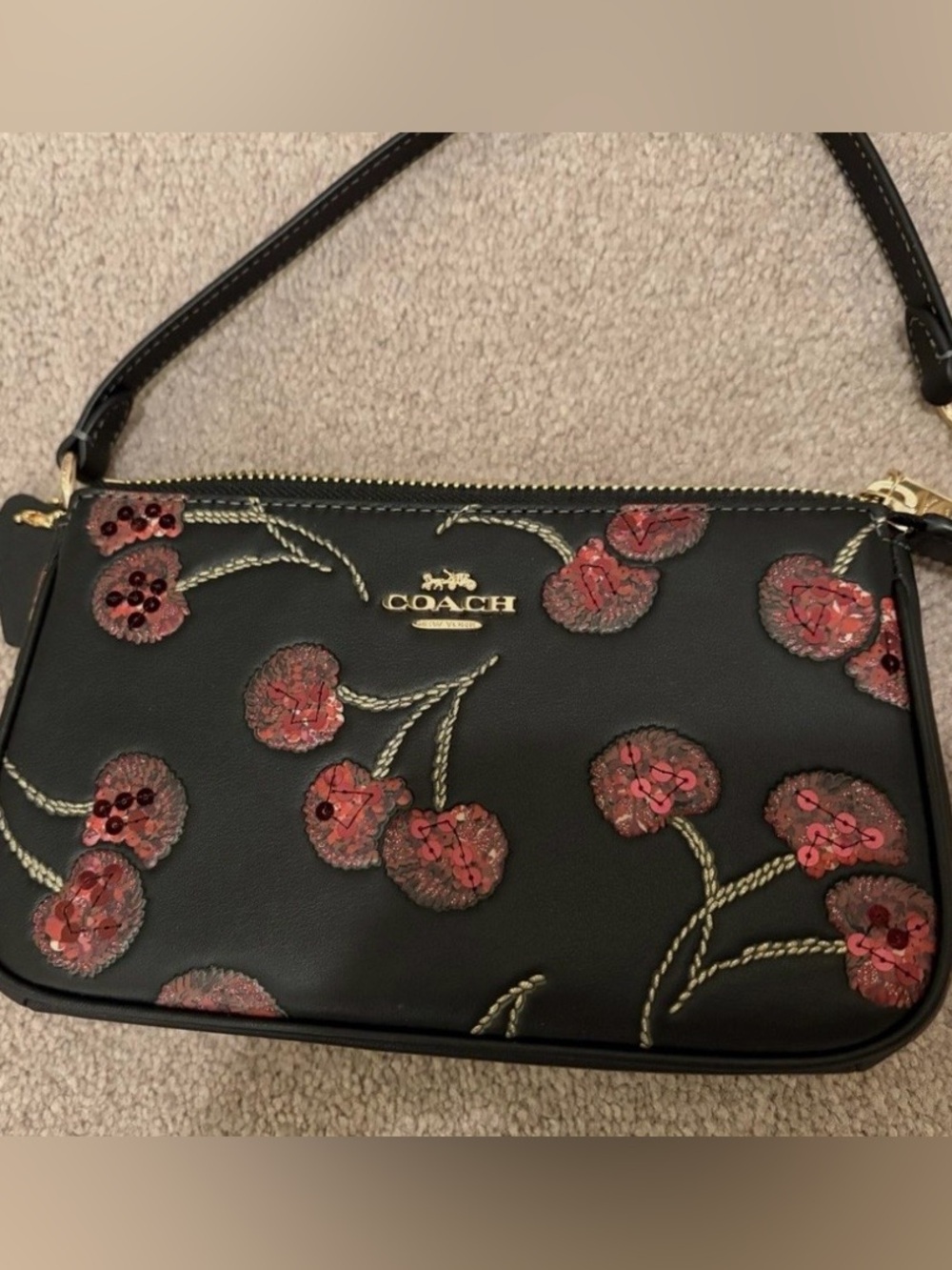 Coach Black Cherry Appliqué Nolita